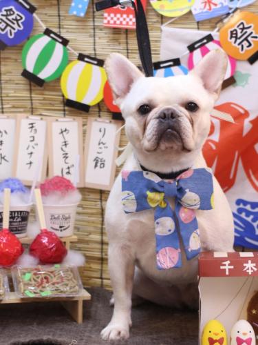 20240711ゼロちゃん